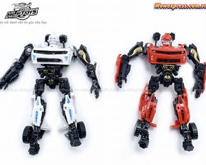 Hop-2-robot-bien-hinh-666-54c