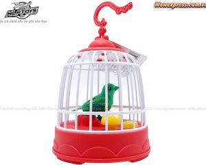 Long-chim-nam-6049a