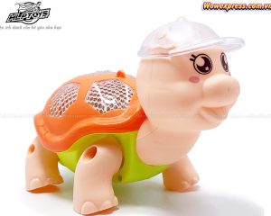 Rua-pin-non-776-3b