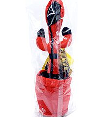 Xuong-rong-tam-giac-754-1