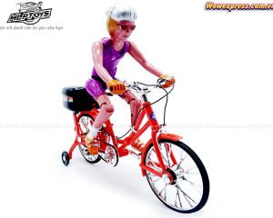 xe-dap-tay-dua-2699Cb