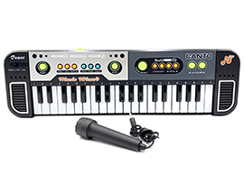 dan-organ-micro-pin-3766