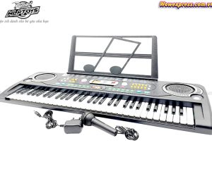 dan-organ-micro-sac-MQ-6156c