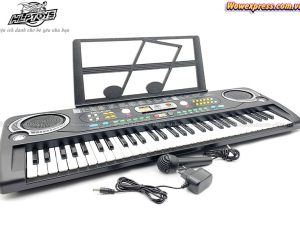 dan-organ-micro-sac-MQ-6156d